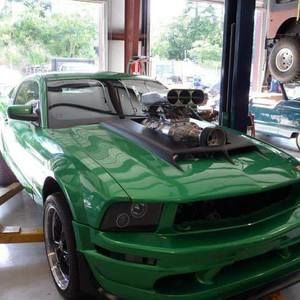 Meet your Posher, Douglas